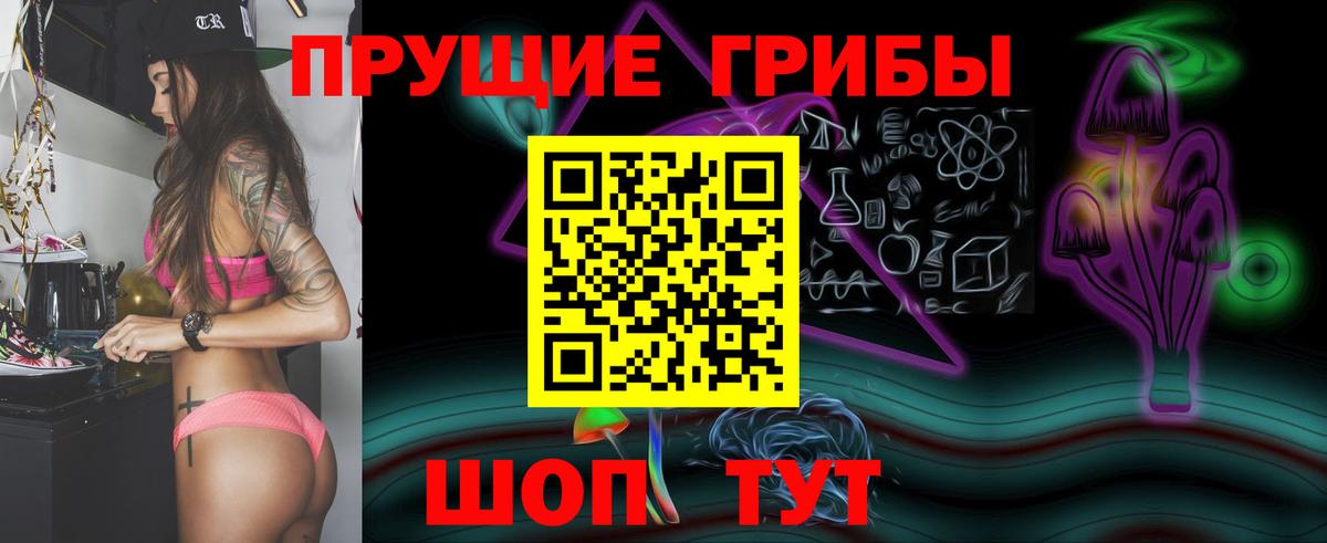Псилоцибиновые грибы Psilocybe  Вход с VPN  Усолье-Сибирское 